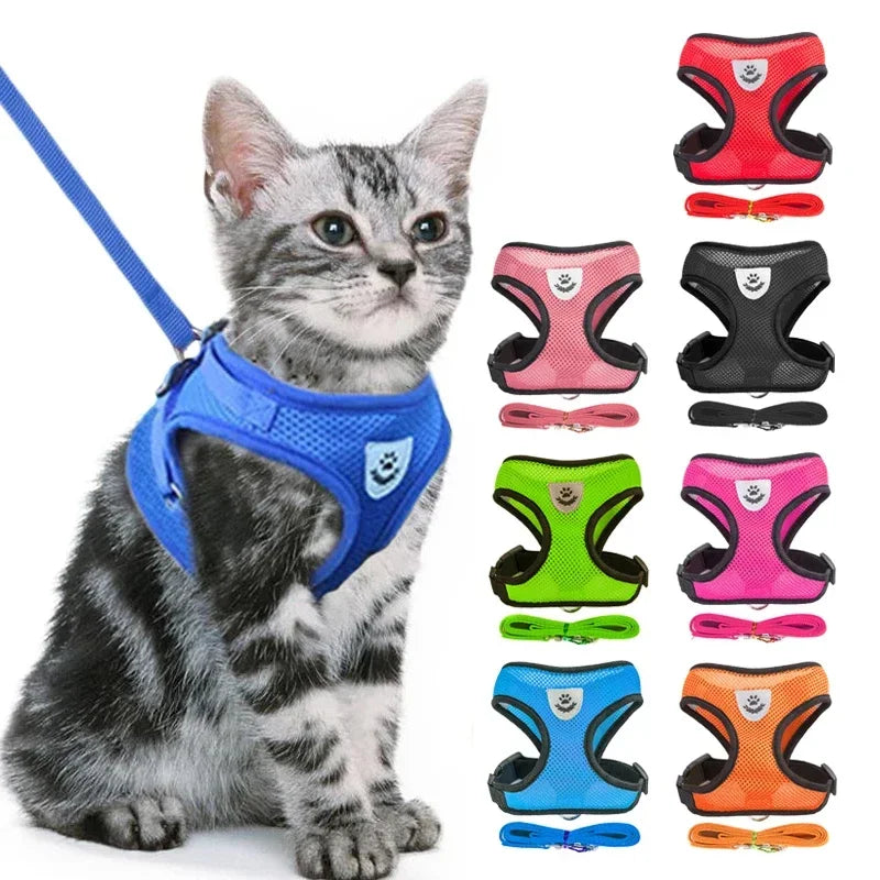 The SafeWalk Harness – Adjustable Reflective Vest for Cats & Dogs