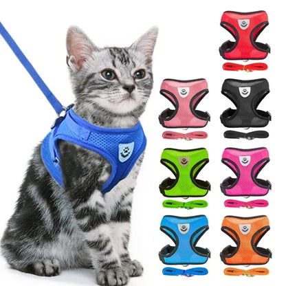 The SafeWalk Harness – Adjustable Reflective Vest for Cats & Dogs