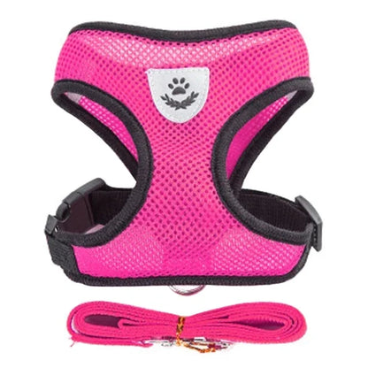 The SafeWalk Harness – Adjustable Reflective Vest for Cats & Dogs