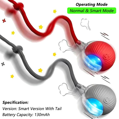 The RollBot – Smart Auto-Rolling Interactive Cat Toy