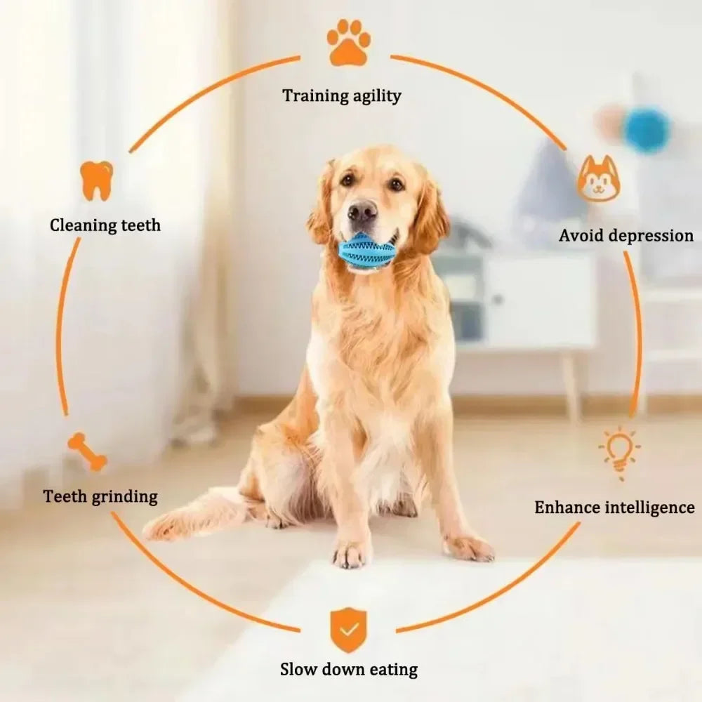 The ChewIQ – Natural Rubber Treat Dispensing Chew Ball for Dogs