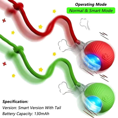 The RollBot – Smart Auto-Rolling Interactive Cat Toy