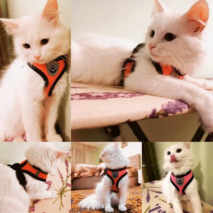 The SafeWalk Harness – Adjustable Reflective Vest for Cats & Dogs