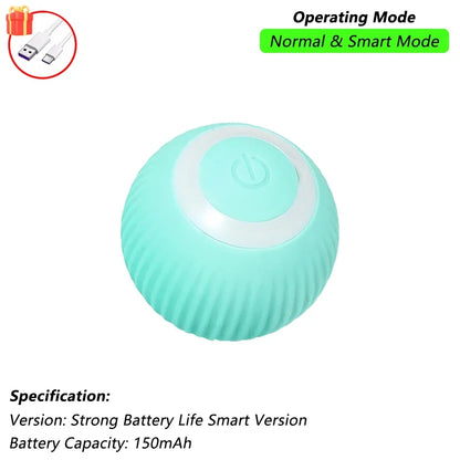 The RollBot – Smart Auto-Rolling Interactive Cat Toy