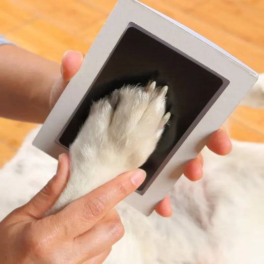 The PawPrint Kit – Inkless Paw & Nose Print Keepsake