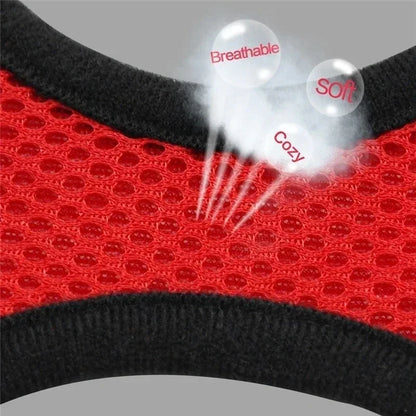 The SafeWalk Harness – Adjustable Reflective Vest for Cats & Dogs