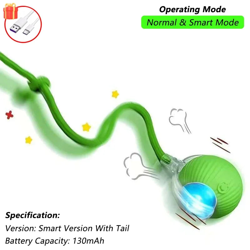 The RollBot – Smart Auto-Rolling Interactive Cat Toy