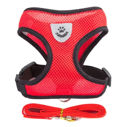 The SafeWalk Harness – Adjustable Reflective Vest for Cats & Dogs