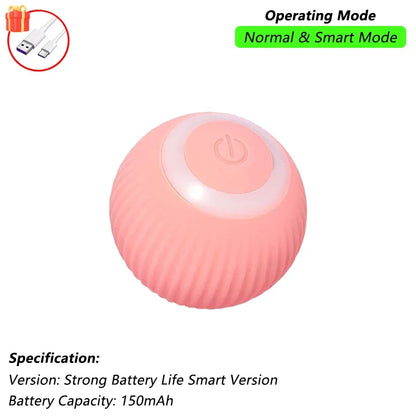 The RollBot – Smart Auto-Rolling Interactive Cat Toy