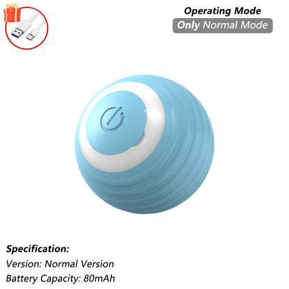 The RollBot – Smart Auto-Rolling Interactive Cat Toy