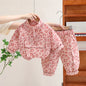 Baby Boys Girls Clothes stamp Cotton T-Shirt Pants 2Pcs/sets