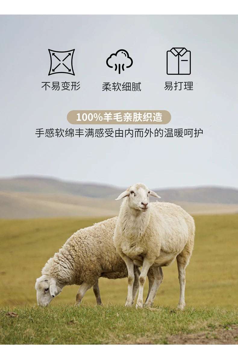100% wool high neck sweater with pullover for men