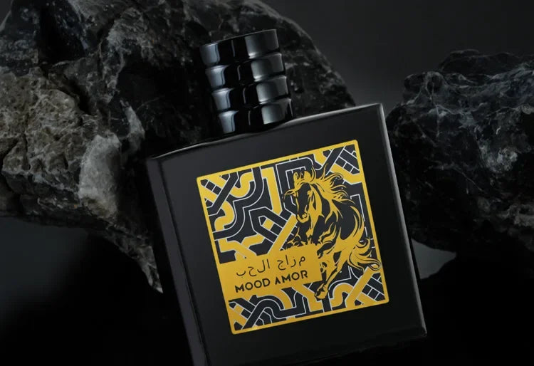 Brand Arabian Men Perfume Woody Gentleman Irresistible