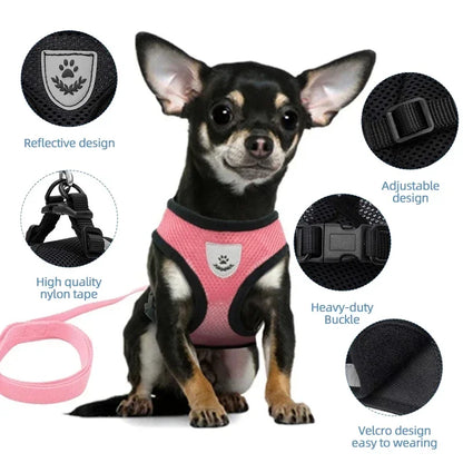 The SafeWalk Harness – Adjustable Reflective Vest for Cats & Dogs