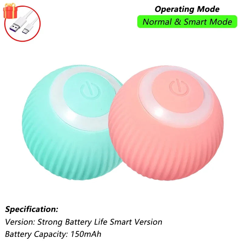 The RollBot – Smart Auto-Rolling Interactive Cat Toy