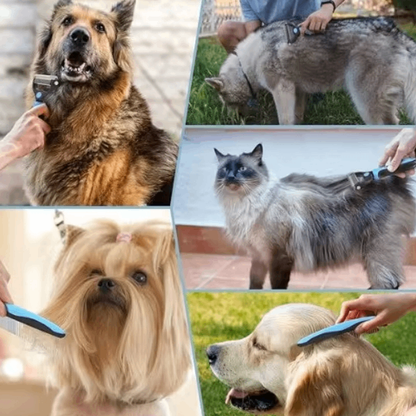 The MatBreaker – Double-Sided Dematting Brush for Dogs