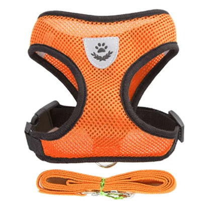 The SafeWalk Harness – Adjustable Reflective Vest for Cats & Dogs