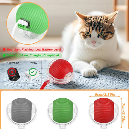 The RollBot – Smart Auto-Rolling Interactive Cat Toy