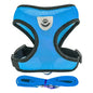The SafeWalk Harness – Adjustable Reflective Vest for Cats & Dogs