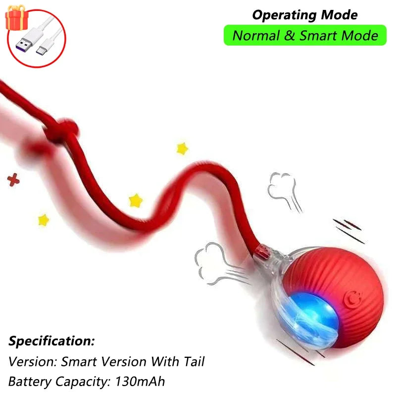 The RollBot – Smart Auto-Rolling Interactive Cat Toy