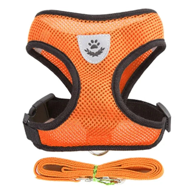 The SafeWalk Harness – Adjustable Reflective Vest for Cats & Dogs