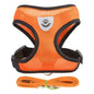 The SafeWalk Harness – Adjustable Reflective Vest for Cats & Dogs