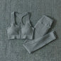 Women Fitness Yoga Sets Seamless Sports Suits Workout Clothes Sports Bra Gym Leggings Sports Wear Gym Clothing Sportswear