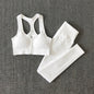 Women Fitness Yoga Sets Seamless Sports Suits Workout Clothes Sports Bra Gym Leggings Sports Wear Gym Clothing Sportswear